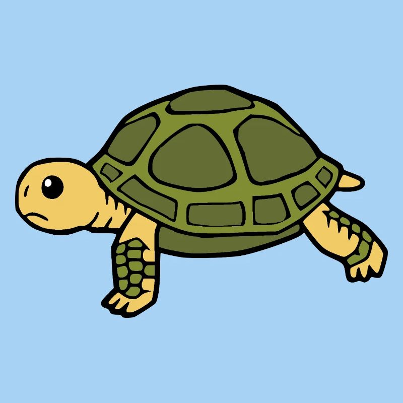 Turtle Turtles