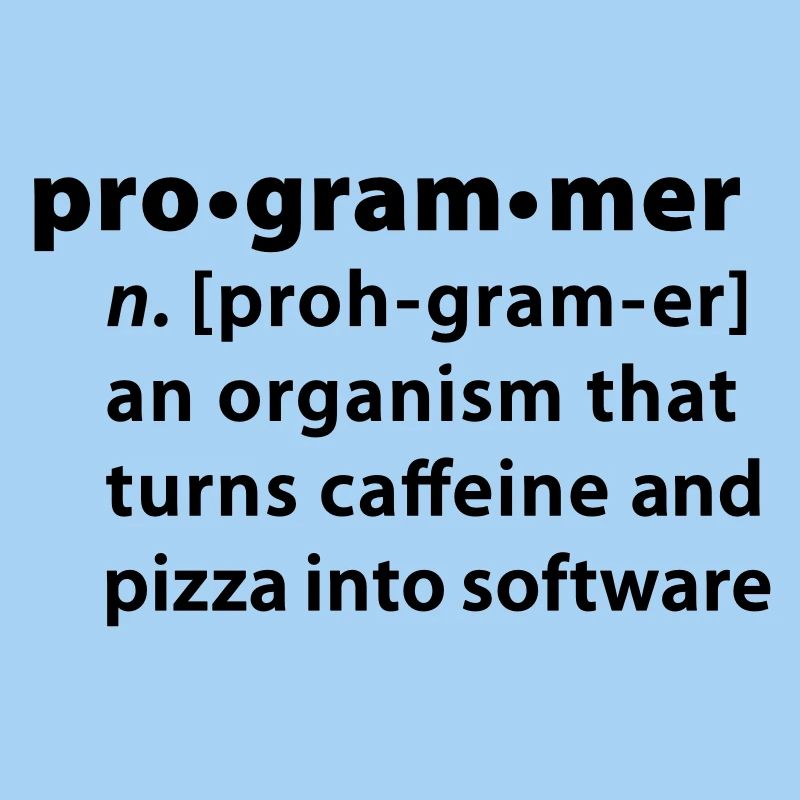 Programmdefinition - die Definition Programmer
