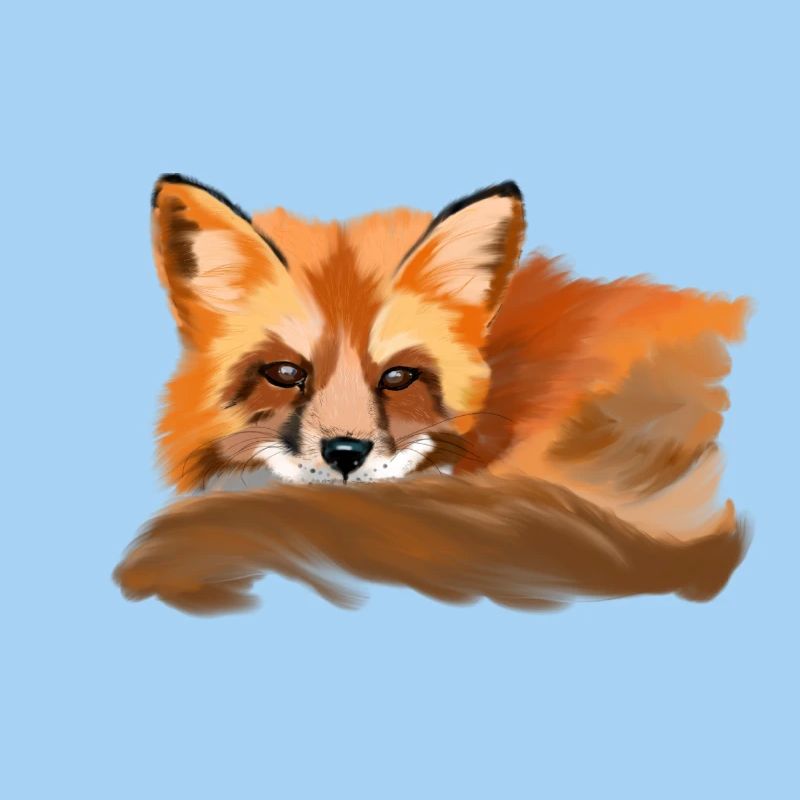 fox