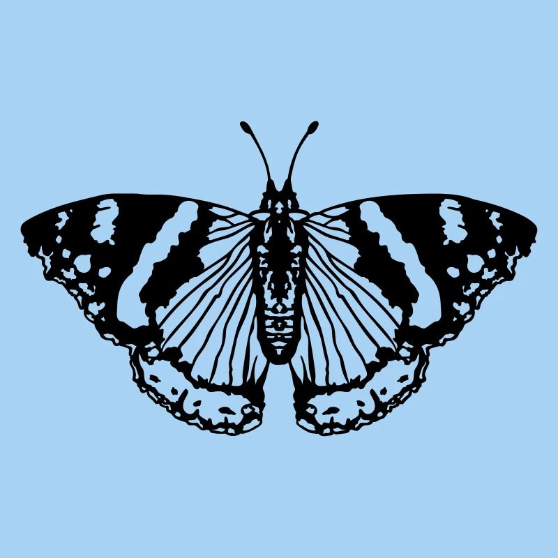 Schmetterling butterfly