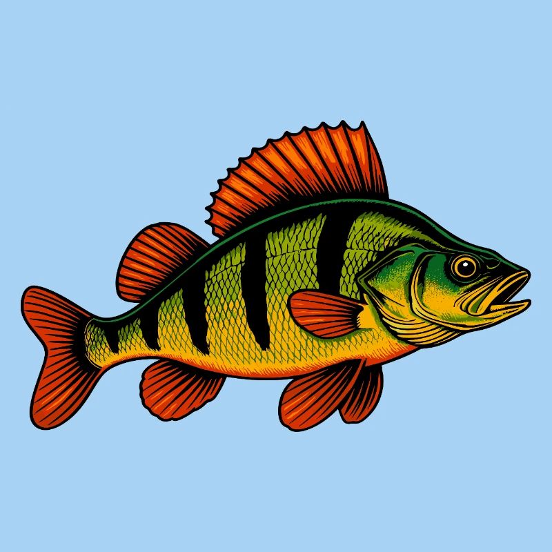 Perch Perch Perch Perch Fishing Perch Perch Perch