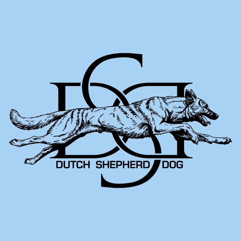 Dutchie - Holländischer Schäferhund