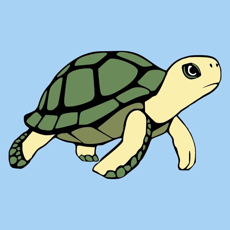 Turtle Turtles