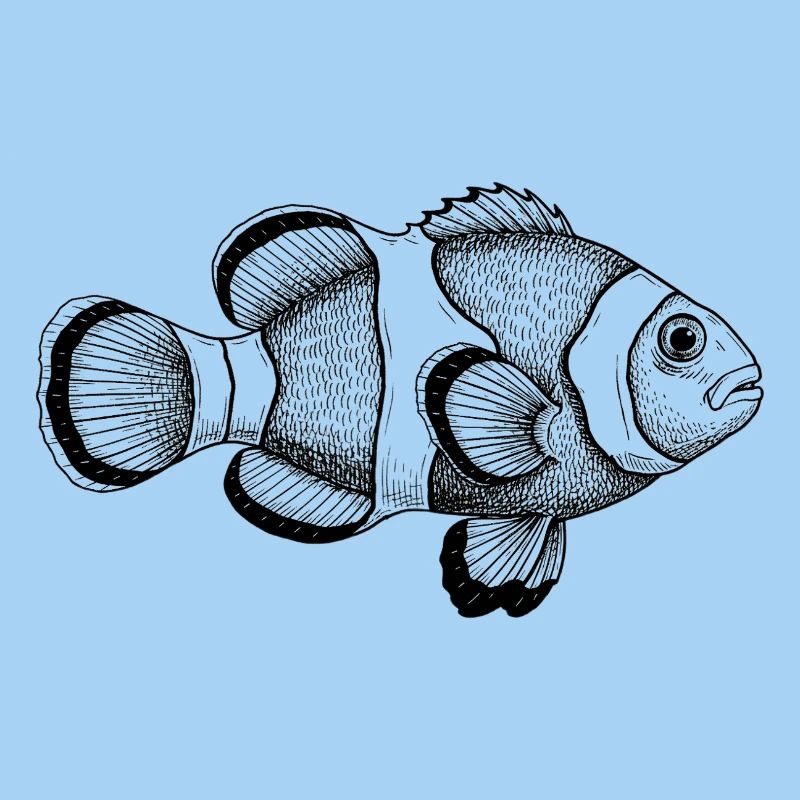 Clownfish