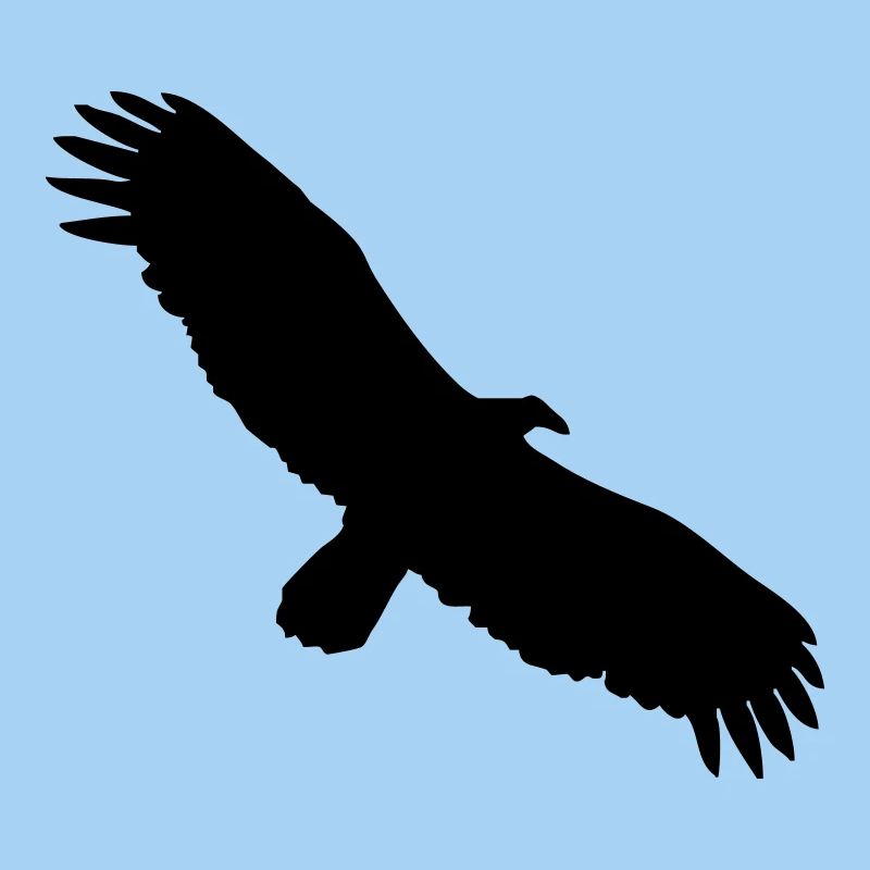 Condor