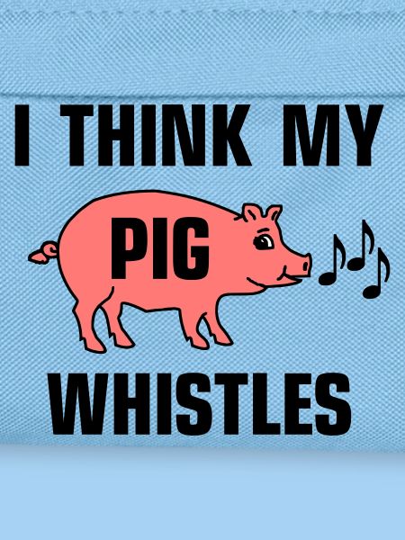 I think my pig whistles