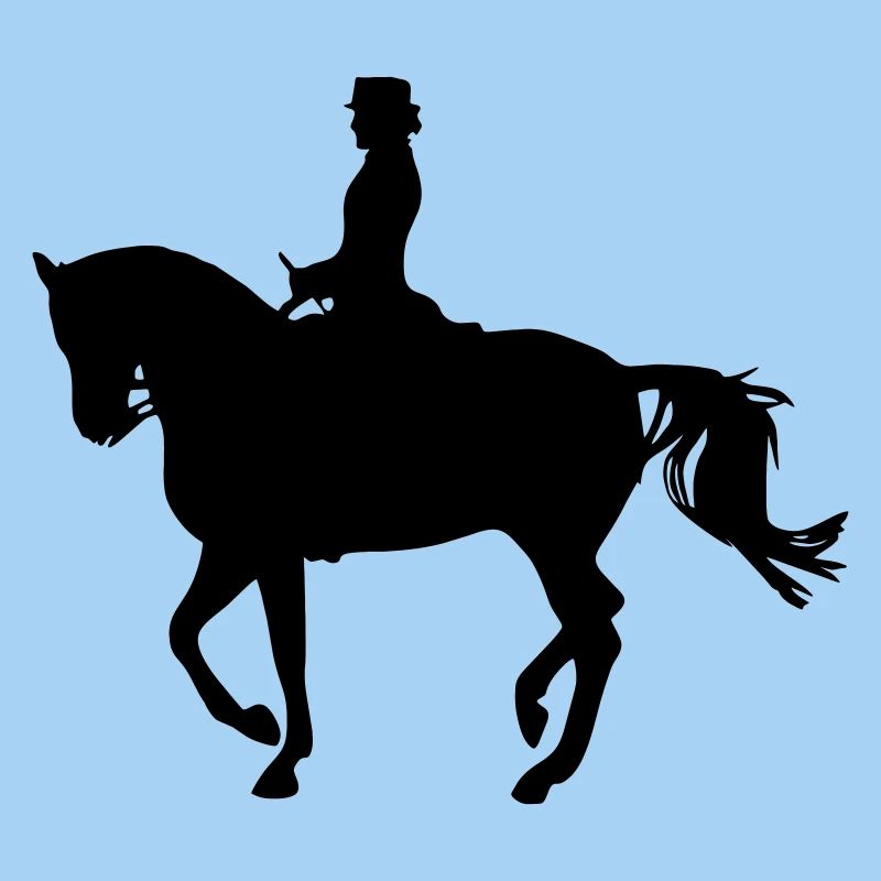 Rider