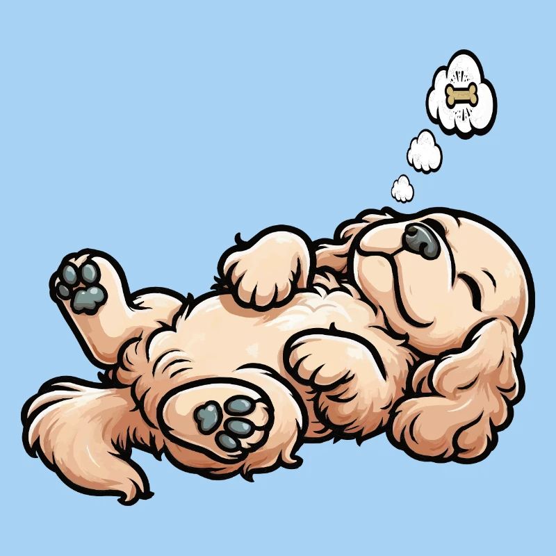 Cocker Spaniel Cockerhund Cocker Spaniel Besitzer