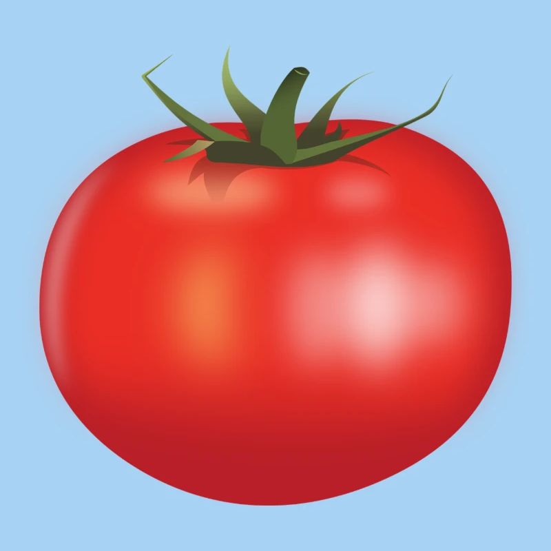 tomato