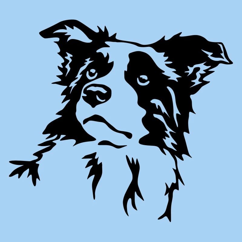 Tête de border collie
