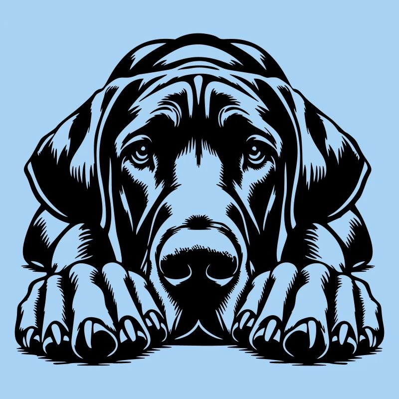 Great Dane