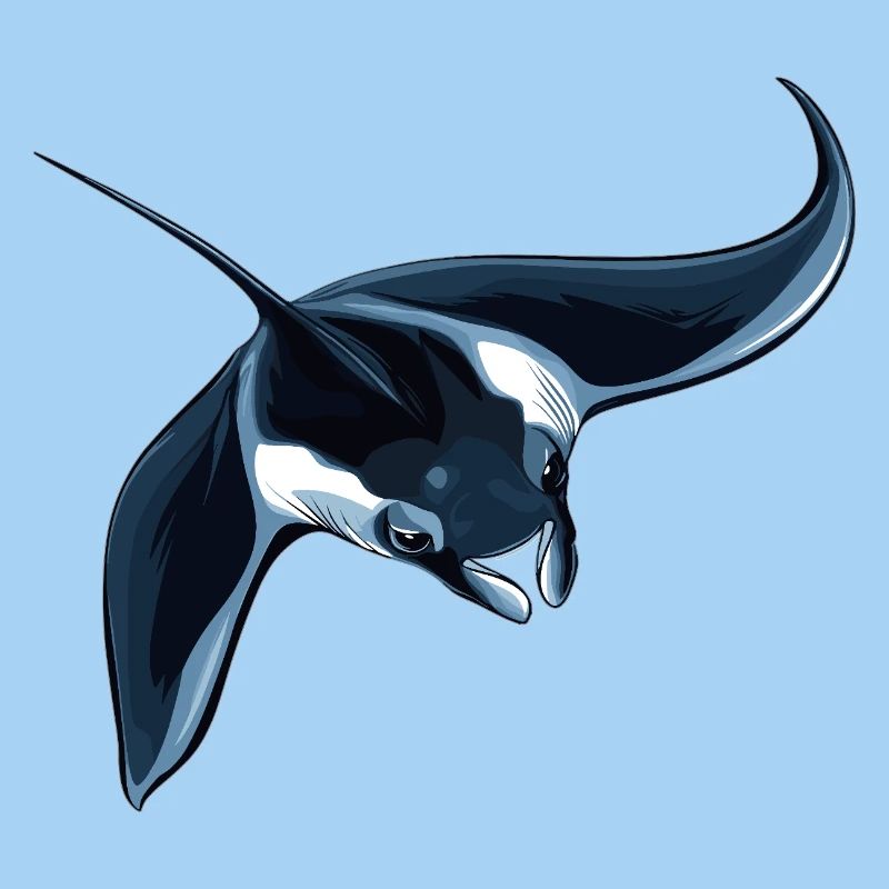 Rochen Mantarochen