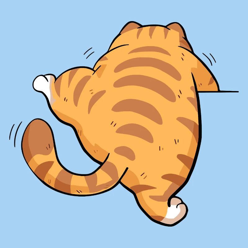 Back view tabby kitten
