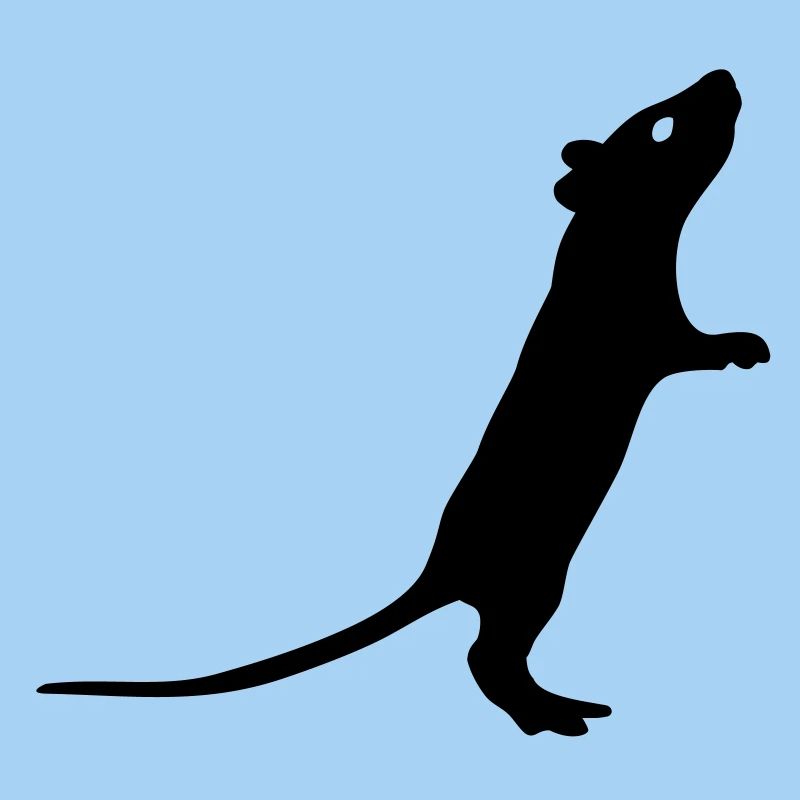Ratte