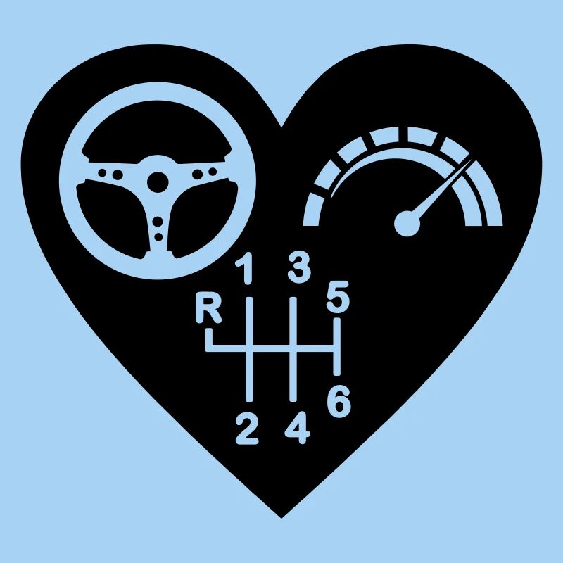 Gearbox 6 speed heart