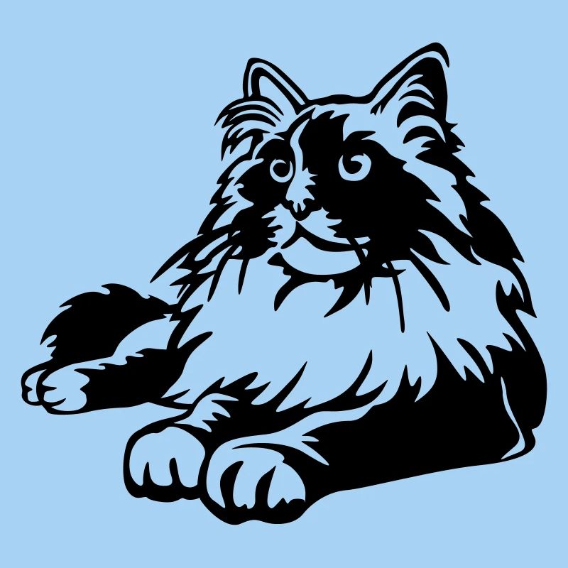 Ragdoll Katze