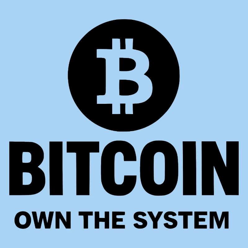 Bitcoin - Posséder le système