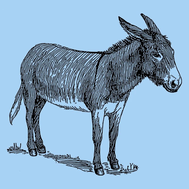 baudet