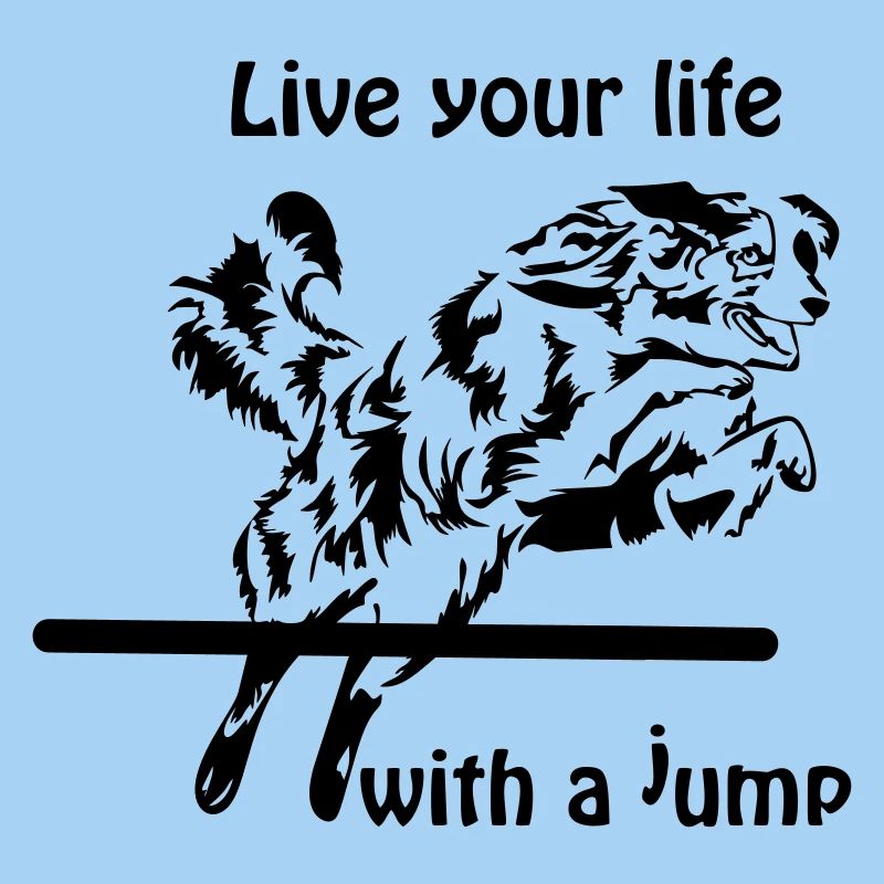 Agility Australian Shepherd Aussie