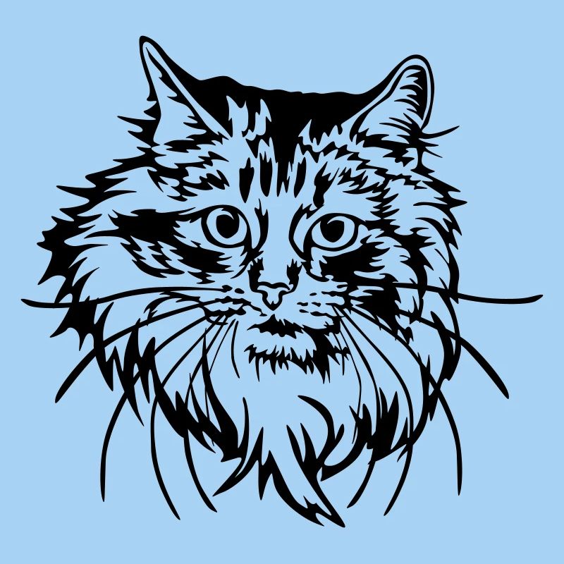 Chat des forêts norvégiennes