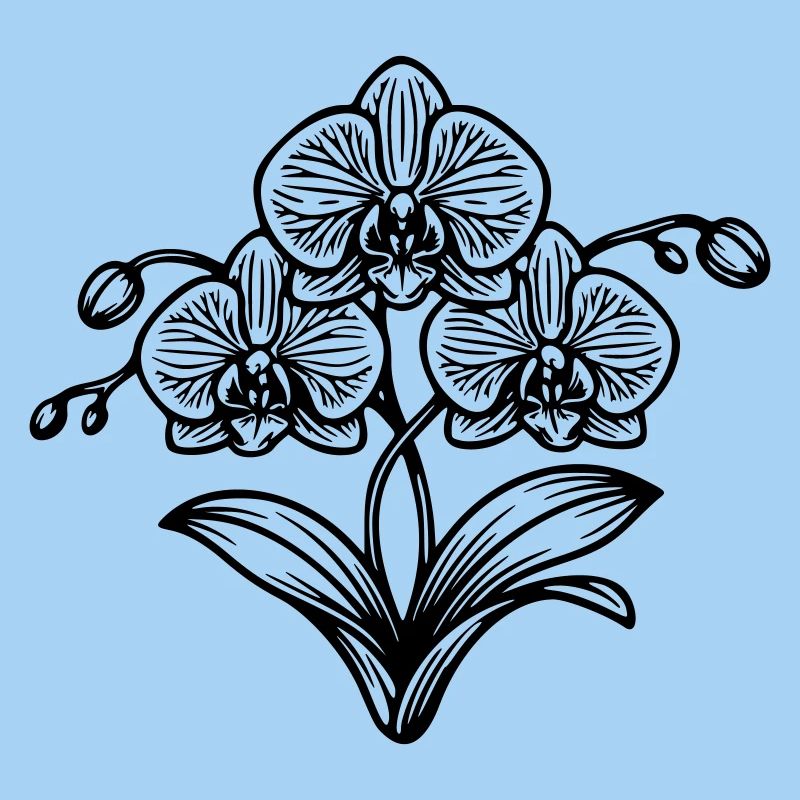 Orchidee