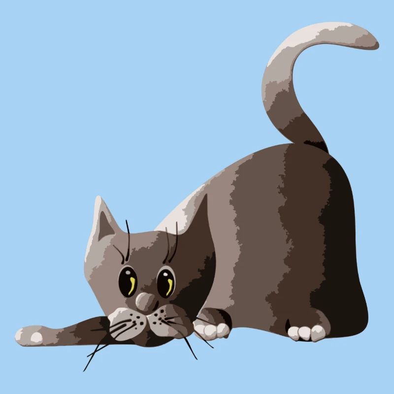 Katze