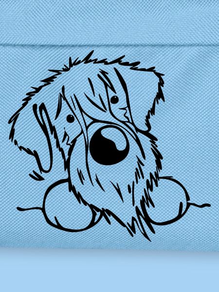 Neugieriger Schnauzer