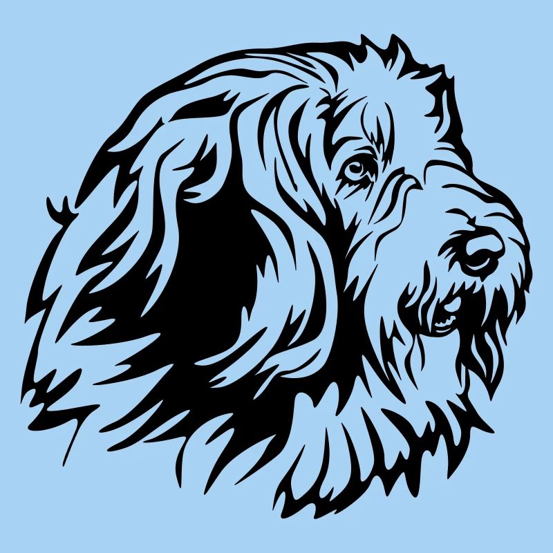 Bearded Collie Head