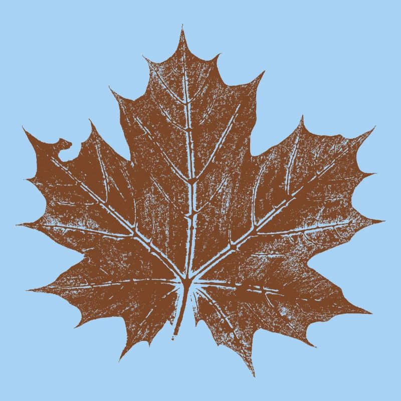 feuille d'érable