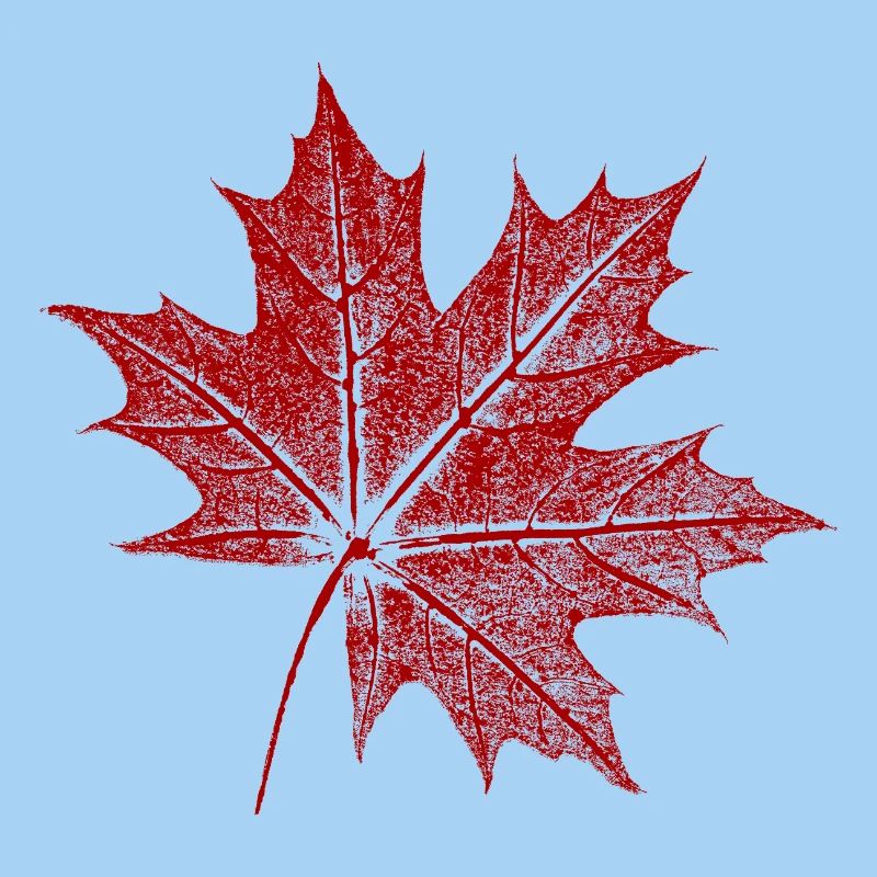 Feuille d’érable