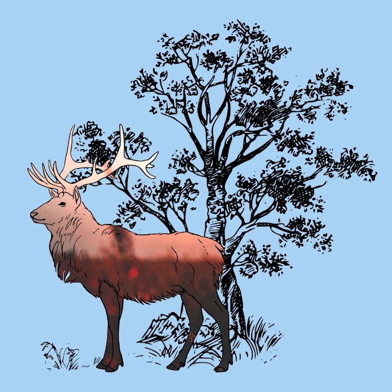 Hirsch_Wald