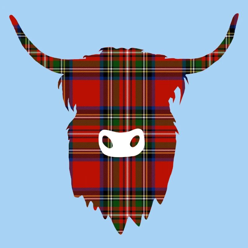 Highland Coo