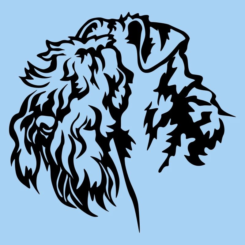 Kerry Blue Terrier Kopf