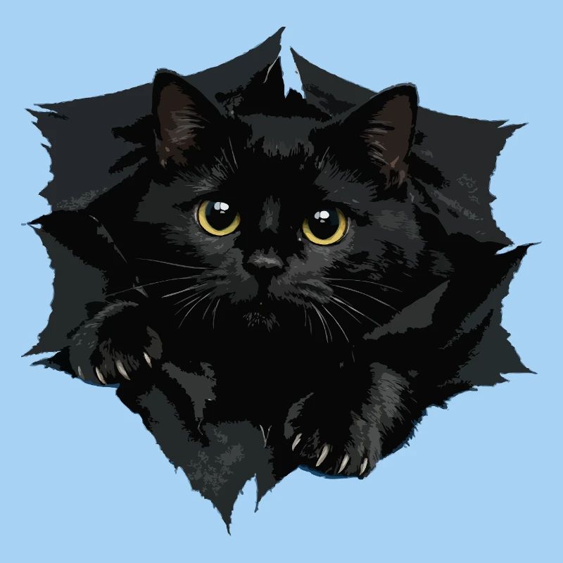 Chat noir par Tranchant