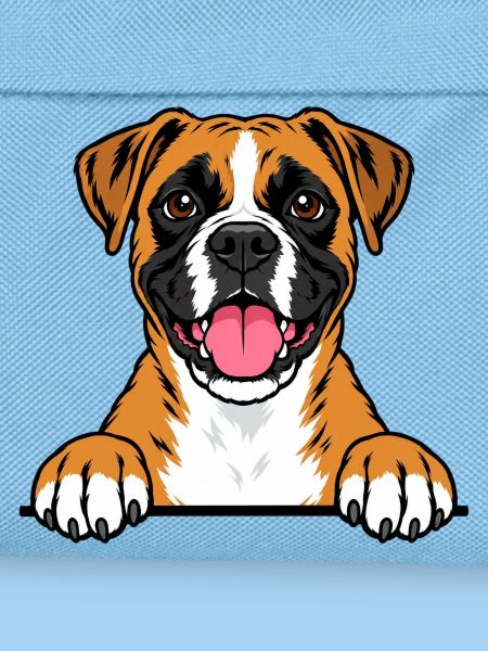 Boxer