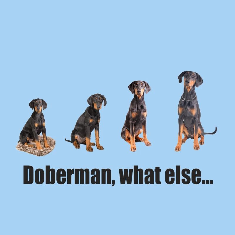 Doberman, what else...