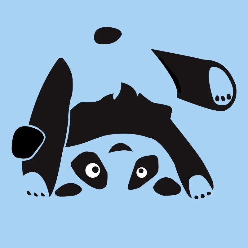 Panda, Bear