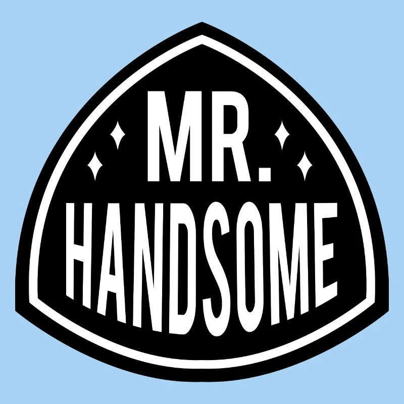 MR HANDSOME