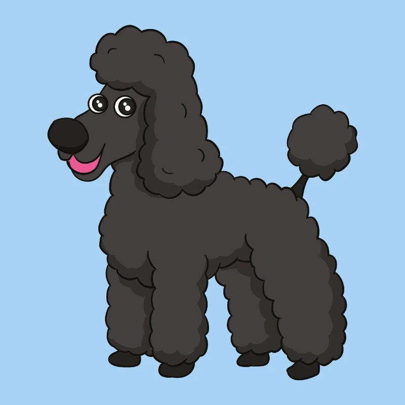 caniche doux
