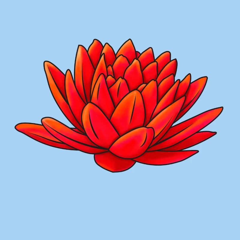 lotus