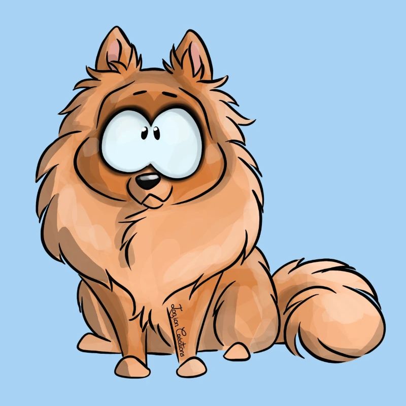 I'm German Spitz Dwarf