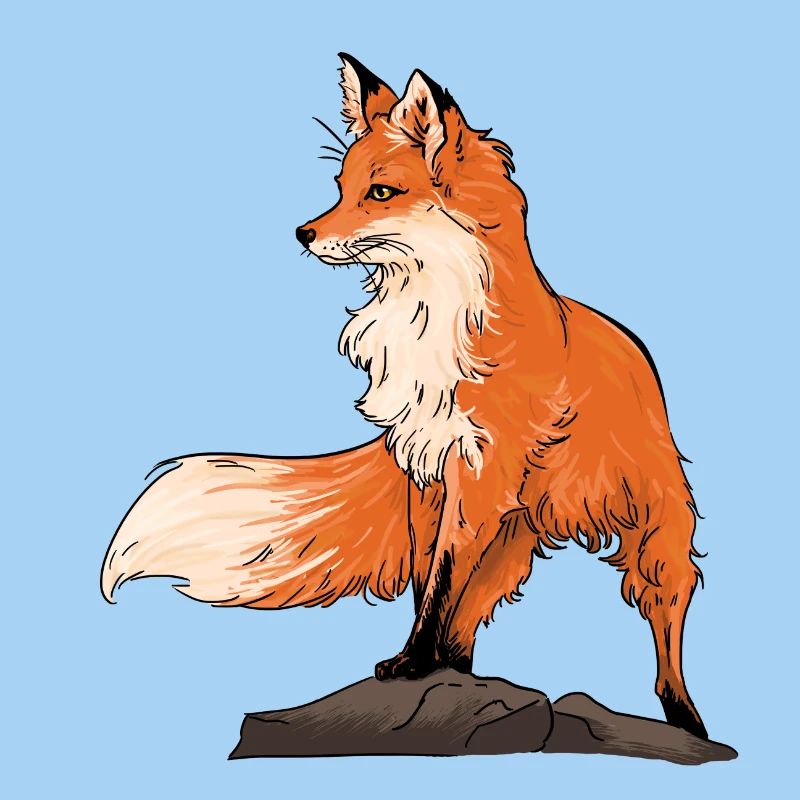 Beautiful fox