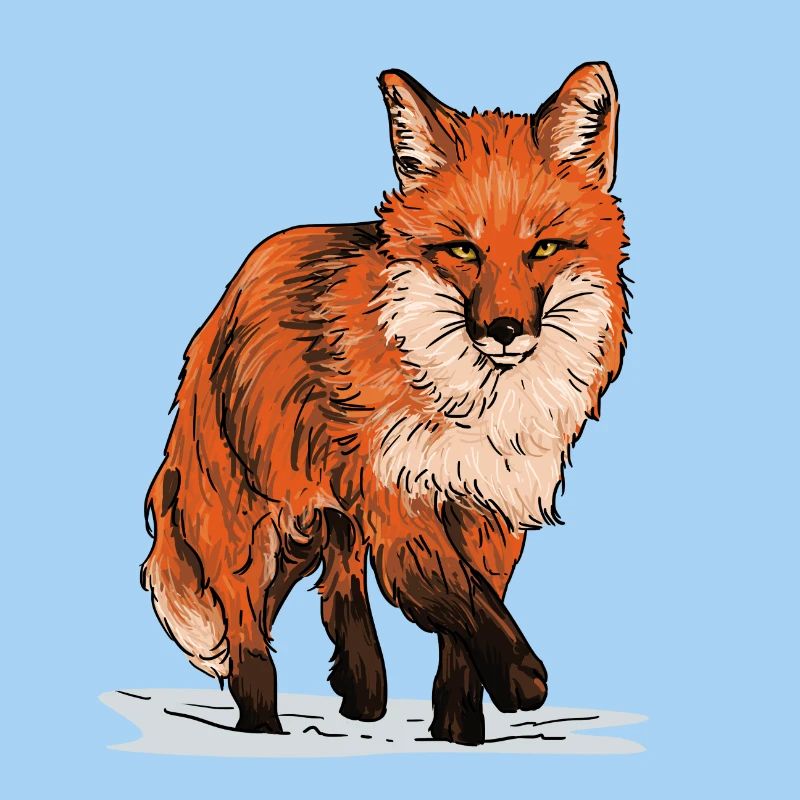 Fuchs in Wildbahn