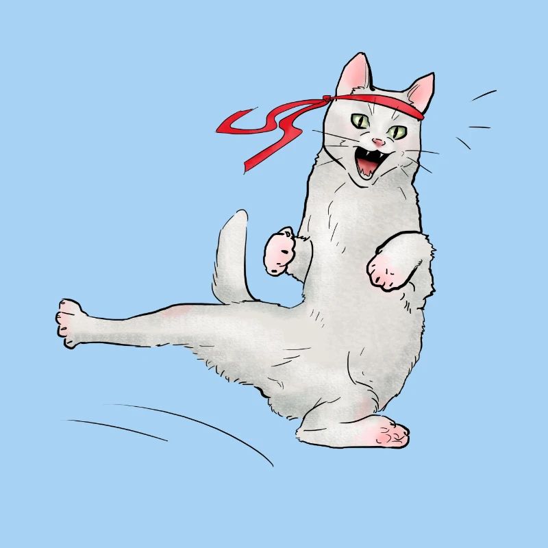 Katze beim Karate