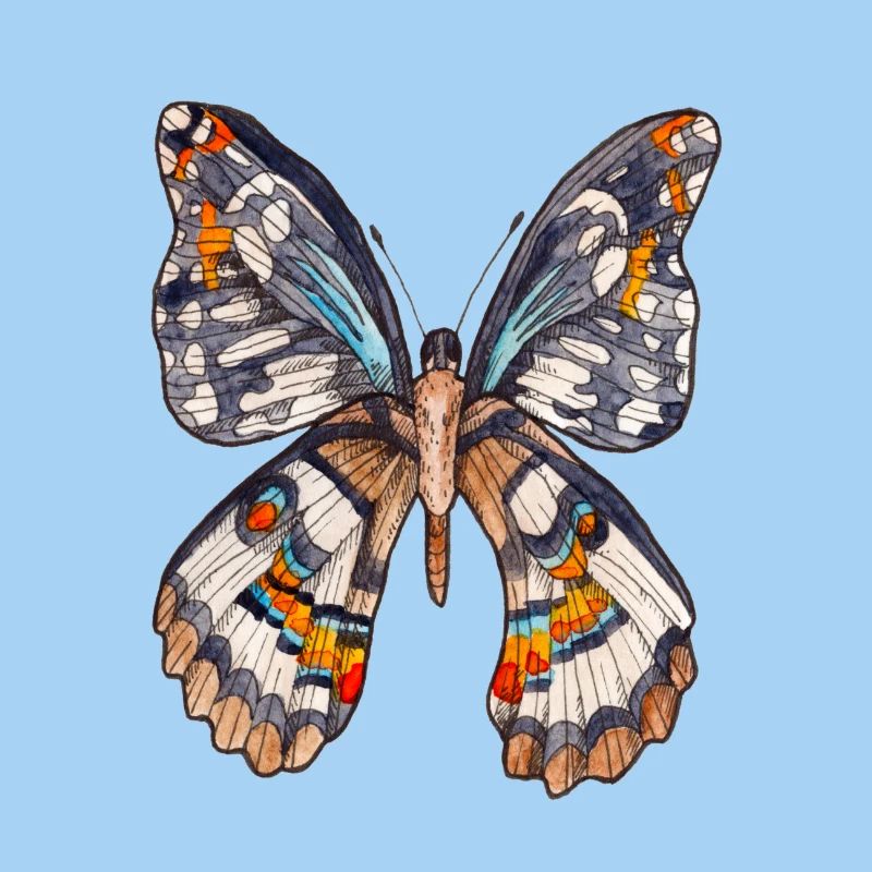 Papillon brun