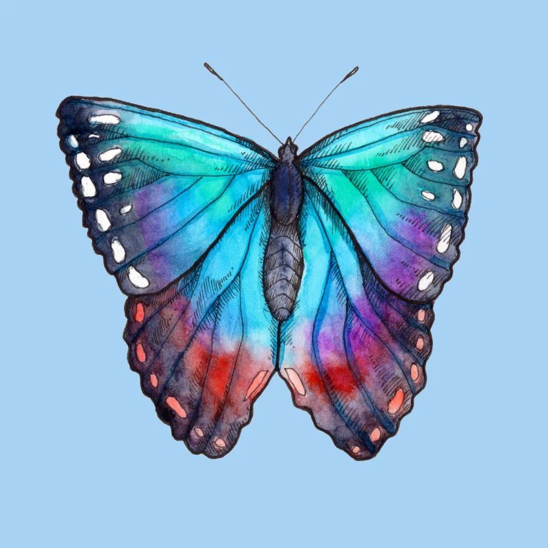 Blauer Schmetterling