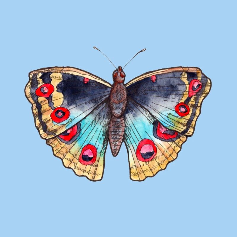 Papillon coloré