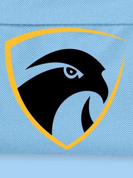 Falcon logo