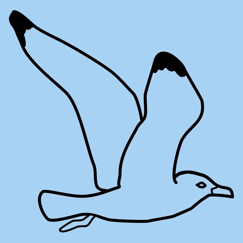 fliegende moewe vogel urlaub