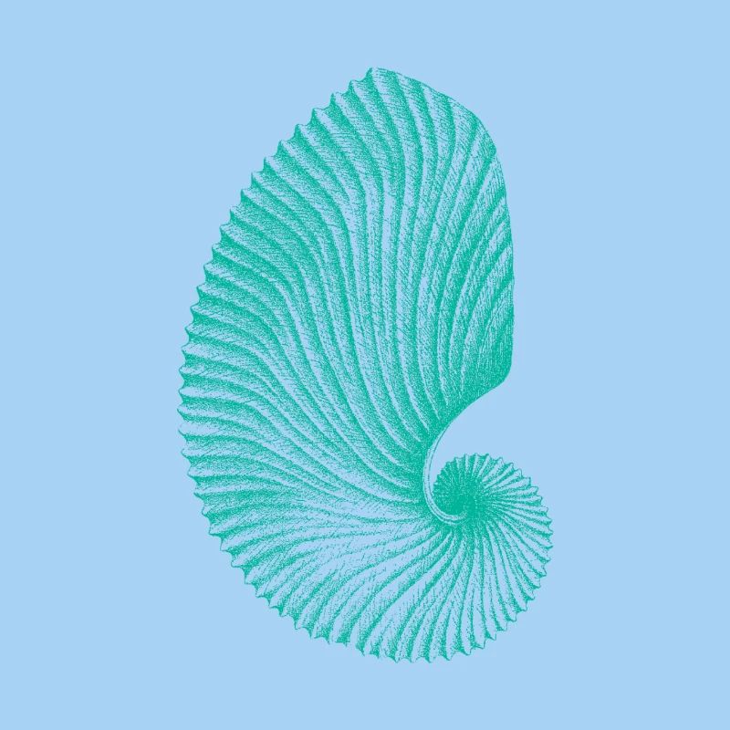 Teal Abstract Snail Pattern